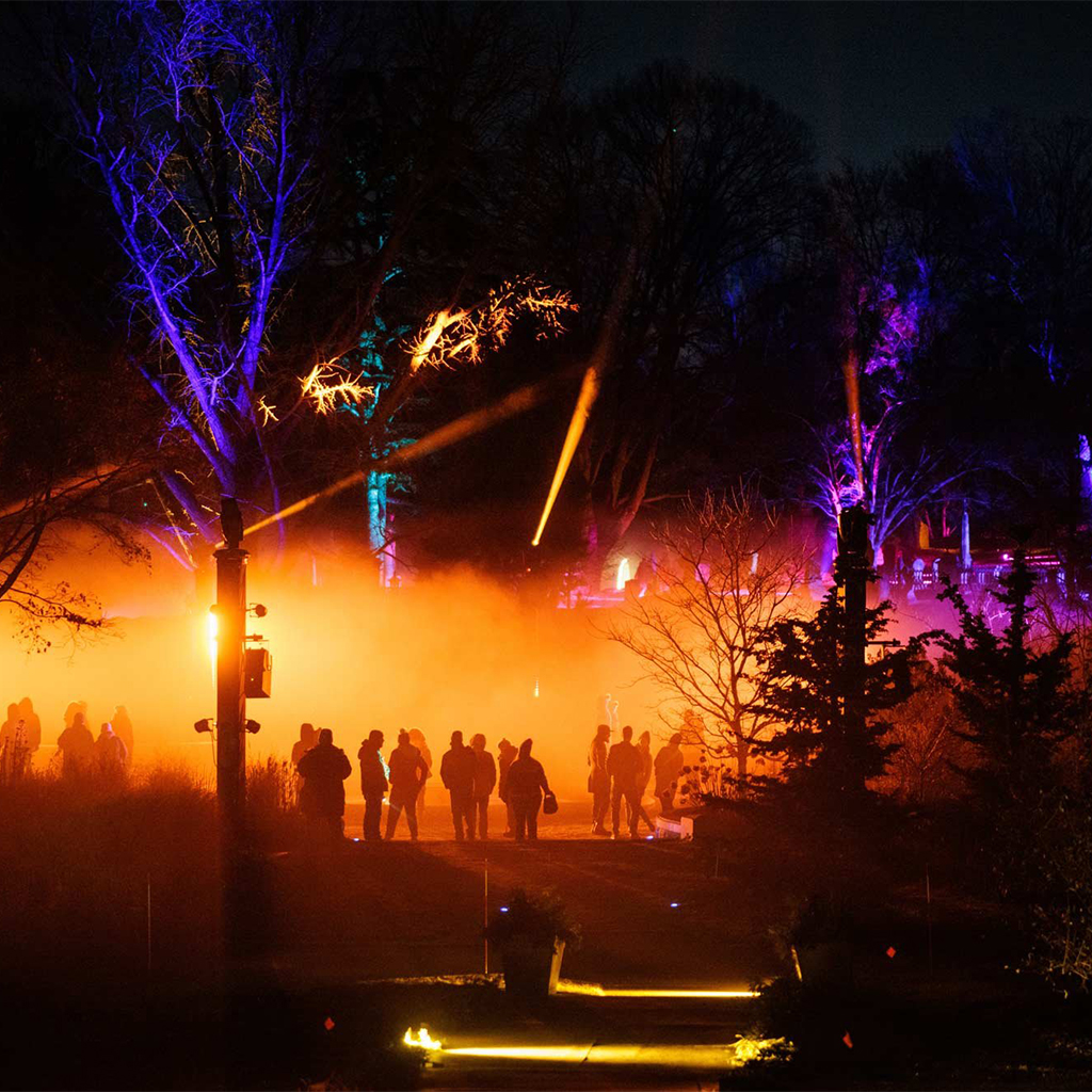 Mount Auburn is bringing back its 'Solstice' annual light experience ...