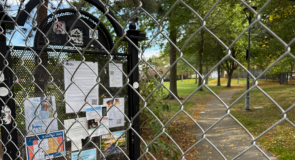 Coming to Cambridge City Council: Park cleanup, rats