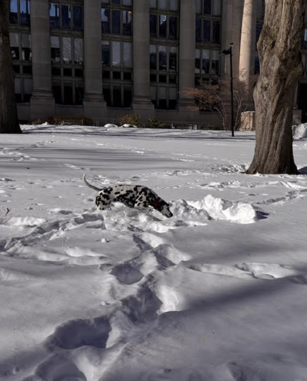 Your view: Photos from our community